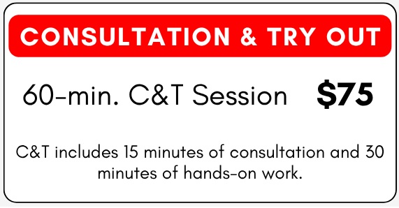 Balance Orlando Prices 1 Consultation & Try Out